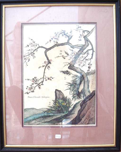 ESTAMPE CHINOISE "AUBEPINE". 40 x 29,5 CM.