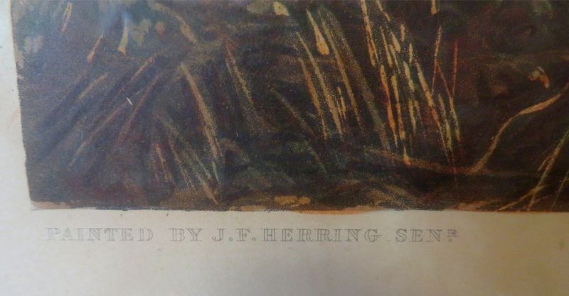 GRAVURE EN COULEUR ENCADREE  REPRESENTANT UNE SCENE DE CHASSE TITREE "BREAKING COVER" PAR J.F. HERRING SENIOR (USURES). 40,5 X 54,5 CM. 327