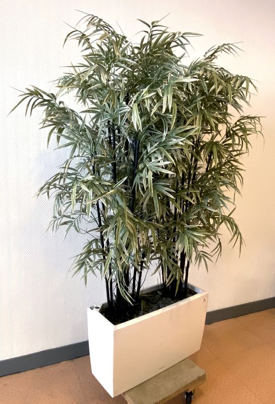 bambou-artificiel-hauteur-200-cm -dans-sa-jardiniere-en-polymere-blanc-74-x-30-cm