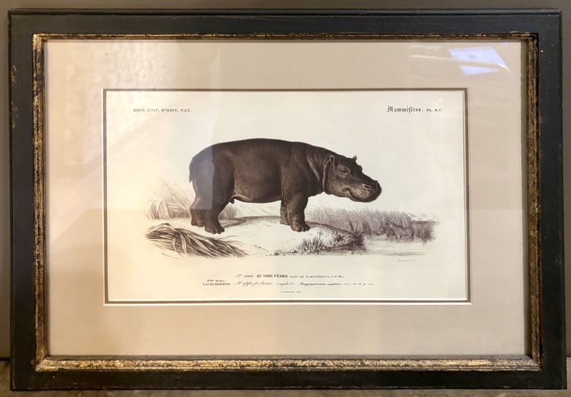 4 REPRODUCTIONS DE GRAVURES ANIMALIERES DONT : JAGUAR, HIPPOPOTAME, LION, RHINOCEROS. ENCADREES, SOUS VERRE ET MARIE LOUISE. 34 X 44 CM.