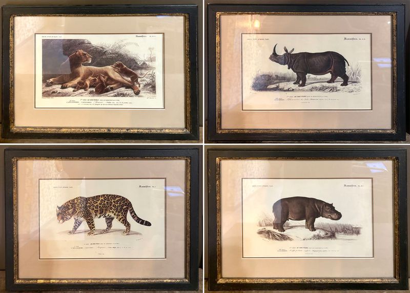 4 REPRODUCTIONS DE GRAVURES ANIMALIERES DONT : JAGUAR, HIPPOPOTAME, LION, RHINOCEROS. ENCADREES, SOUS VERRE ET MARIE LOUISE. 34 X 44 CM.