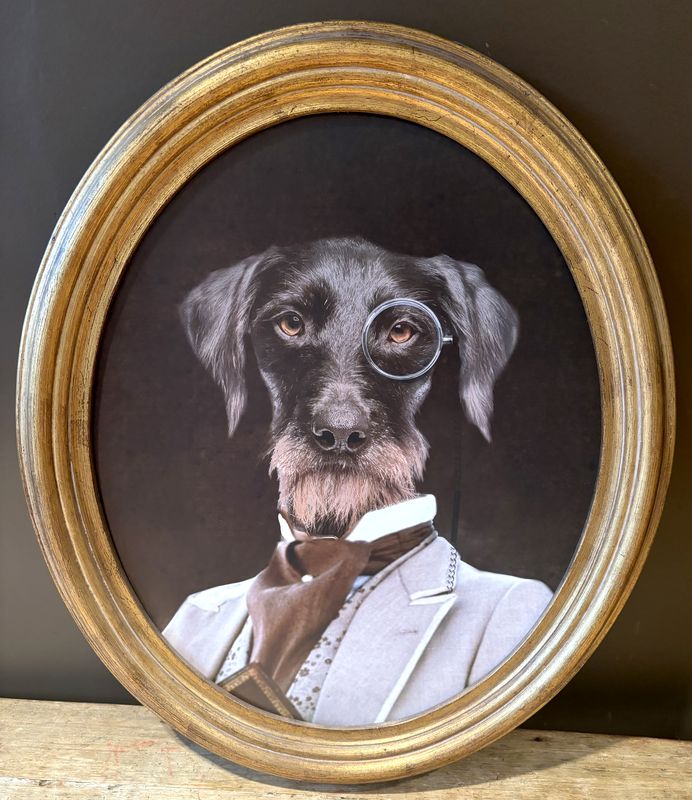 PORTRAIT D'UN TECKEL GRIFFON AU MONOCLE. 64 X 53 CM.