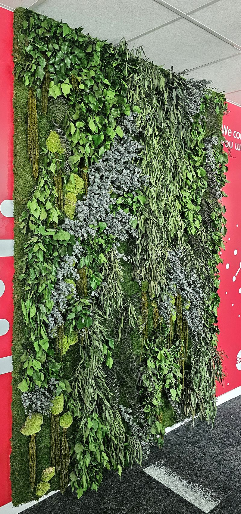 PANNEAU VEGETALISE AGREMENTE DE PLANTES TROPICALES STABILISEES. 260 X 187 X 6 CM. DEMONTAGE PAR L'ACHETEUR DANS LES REGLES DE L'ART. 3 UNITES. VENDU A L'UNITE AVEC FACULTE DE REUNION. LOCALISATION -> BAT A : 2S