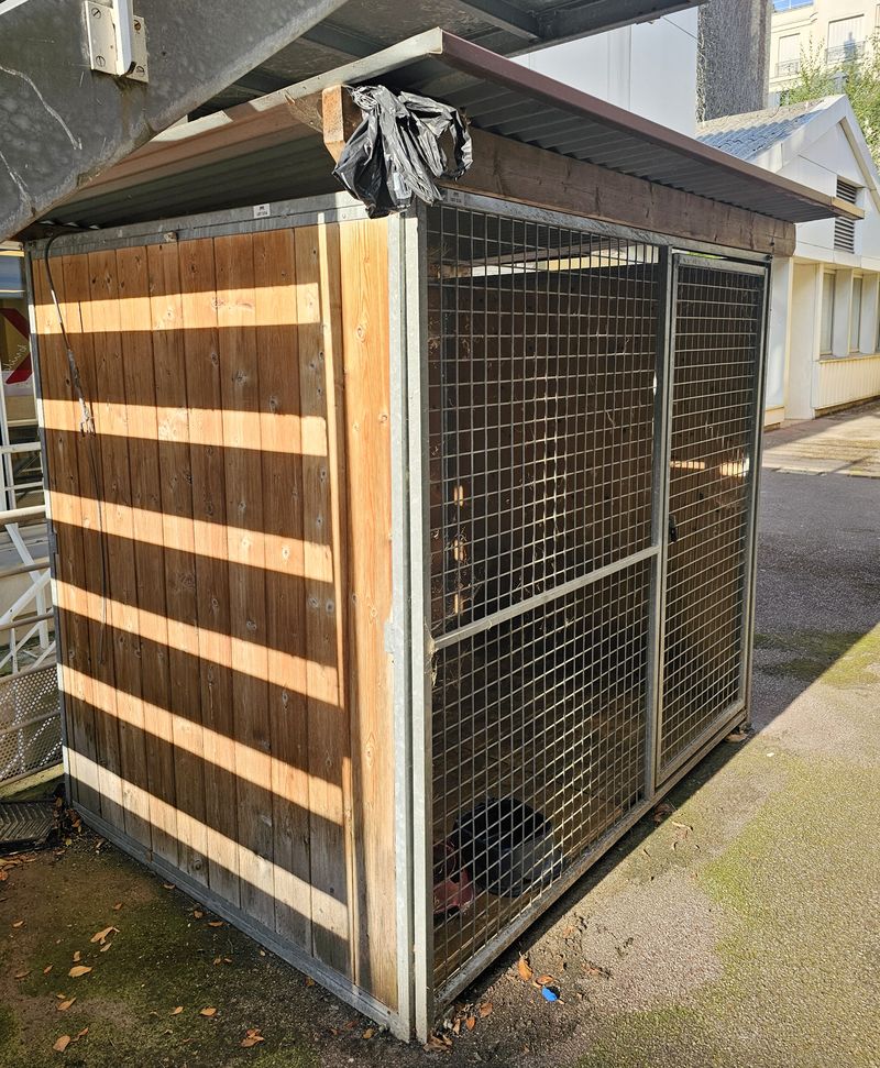 CHENIL OU BOX POUR CHIEN AVEC TOIT EN TAULE ONDULEE REPOSANT SUR UNE STRUCTURE EN PIN ET EN ACIER GALVANISE AVEC UNE GRILLE EN FACADE EN ACIER GALVANISE OUVRANT PAR UNE PORTE AVEC FERMETURE PAR CADENAS, SOL EN BOIS. 197 X 244 X 190 CM. LOCALISATION -> BAT FK EXT.