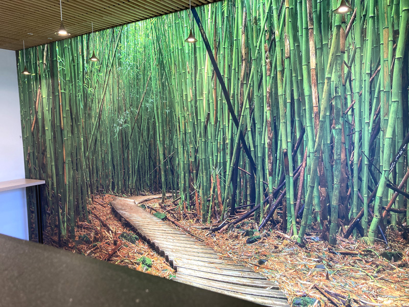 PANNEAU MURAL RETROECLAIRE COMPOSE D'UNE TOILE IMPRIMEE A DECOR DE FORET DE BAMBOO FIXEE SUR UN CADRE EN ALUMINIUM LAQUE GRIS CLAIR. 273 X 474 X 7 CM. LOCALISATION -> AVE - 2 BOULEVARD DU GENERAL DE GAULLE - 92500 RUEIL MALMAISON